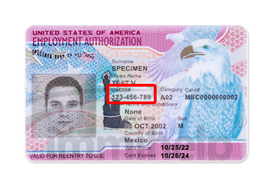 Where to Find Alien Registration Number (or “A-Number”)? - Immihelp