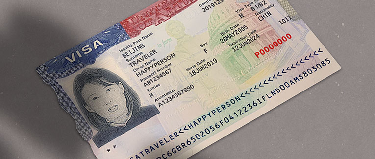 Immigrant Visa Number (Priority Date)